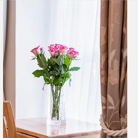Aras De Staic, Downtown Dingle, Historic Charm, Super King Bed , James Joyce *
